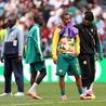 Evaluating Everton's World Cup Players: Individual Performances and Future Implications